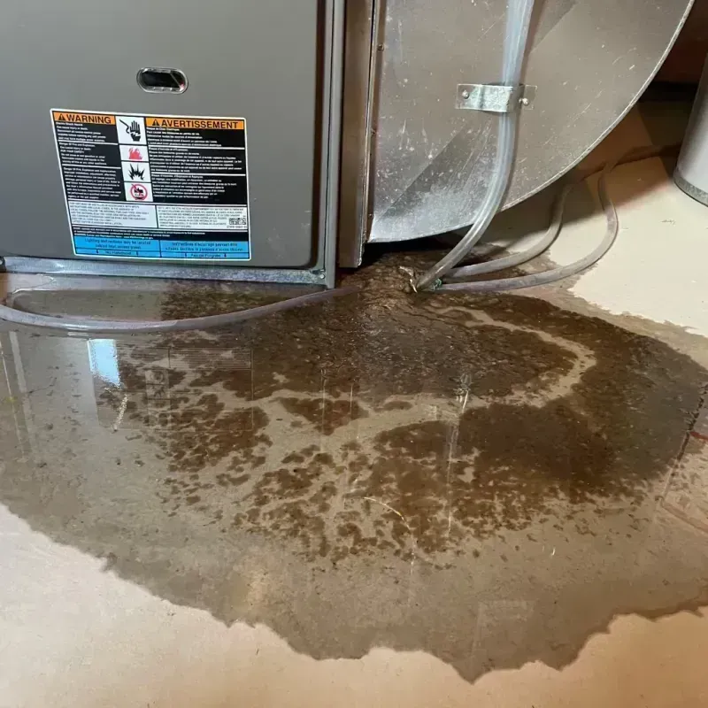 Appliance Leak Cleanup in Clinton, IL